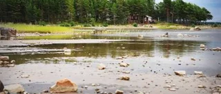 Utbyggnad av Rörbäcks camping ska utredas