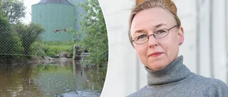 Kommunens farliga fynd – bensin i avloppsvattnet