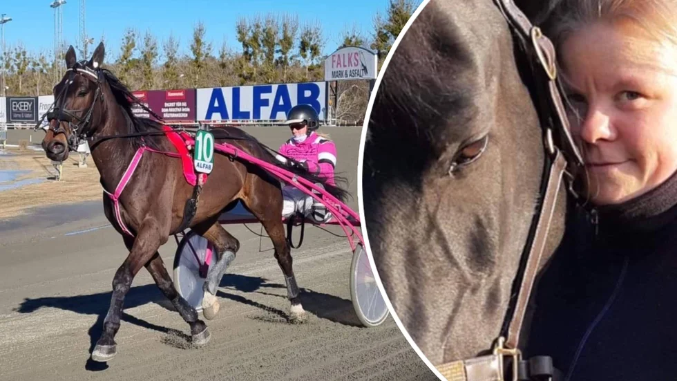 Travtränaren och kusken Anna A Karlsson ställer upp under Sundbyholmstravets tävlingar på julafton med hästen Mr Julian.