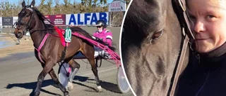 Efter de tunga åren – hästarna räddade livet på Anna: "Det hade varit den bästa julklappen"