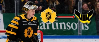 Skellefteå AIK:s stora målvaktstalang lånas ut – spelar tre tuffa matcher mellandagarna