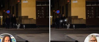 De vill se lag på reflex för gångare i mörker: "Det är lika viktigt med säkra förare som säkra fotgängare"
