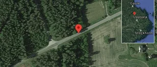 Fallna träd skapar problem i trafiken på väg 746