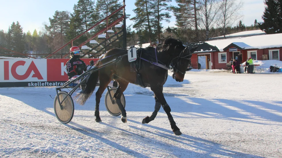 Honky Tonk Angel tackade Maria Bodin för drömstyrningen i V4-3. Vann överlägset.