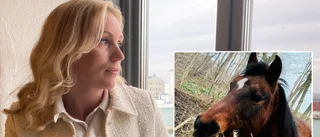 "Det är därför polisen fortsatt så länge som de gjort"