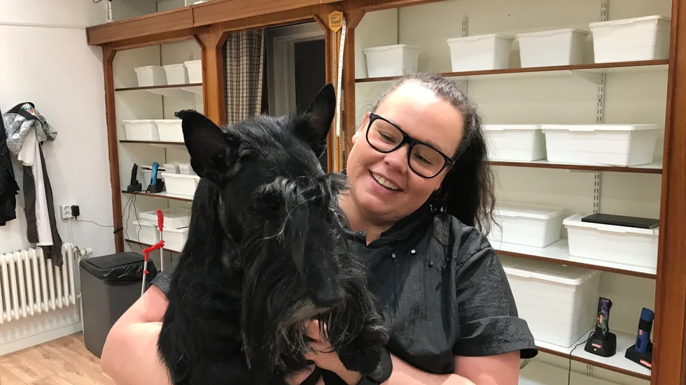 Hundfrisören och ägaren Caroline Brodd tar med glädje emot hundar i behov av ny frisyr. 