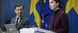Viktiga reformer skyms av elpriskarusellen