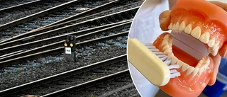 Fem nya yrkesutbildningar till Luleå
