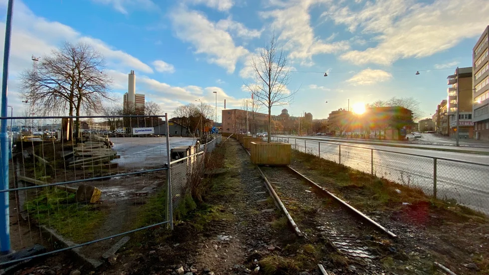 Nio av lindarna har placerats i trälådor på spåret vid platsen där det ska bli en tillfällig konstnärlig utsmyckning vid södra kajen.