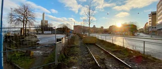 Extralindarna utplacerade: "Inte vilka träd som helst"