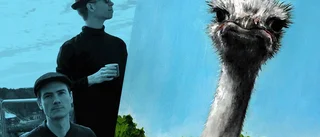 Skivrecension: Årets debutalbum är här