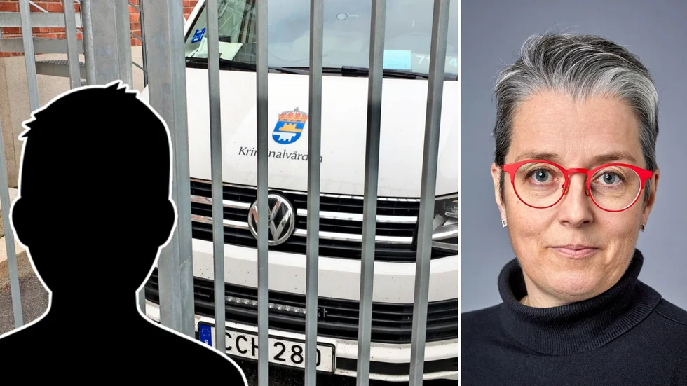 Chefsåklagare Åsa Jonsson menar att Skelleftebons brott mot kvinnan varit ”ett led i en upprepad kränkning av målsägandens integritet och skadat hennes självkänsla”.