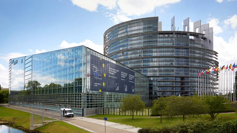 I valet till EU-parlamentet gick gröna och liberala krafter fram, konstaterar Mattias Goldmann, VD på tankesmedjan Fores.