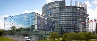 Klimatet vann EU-valet