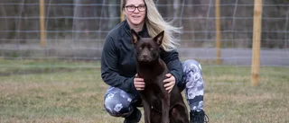 Emma, 42, har gått unik utbildning: "Hundnörd i det mesta jag gör"