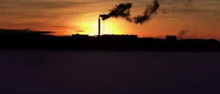 Läsarbilden                    