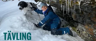 Skicka in din vinterbild och var med i vår fototävling