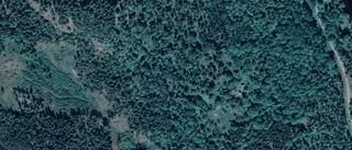4 500 000 kronor för skog i Gårdveda