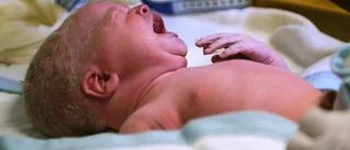 Babyboom i Gällivare