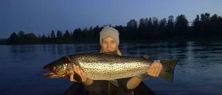 Livad lax var öring
