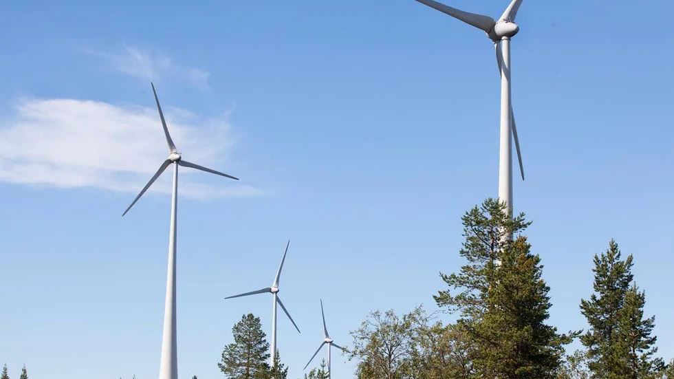 PLANER. Vattenfall undersöker möjligheter för att resa vindkraftverk i Pajala.