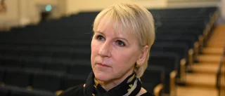 Utrikesministrar från fyra länder träffas i Västerbotten
