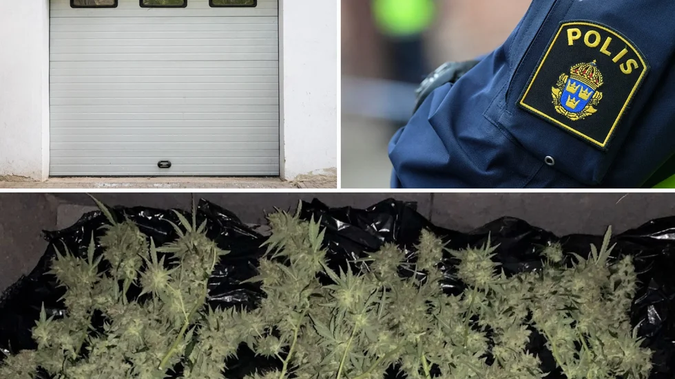 En kraftig lukt av cannabis kom från garaget och innehavaren blev misstänkt för narkotikabrott.