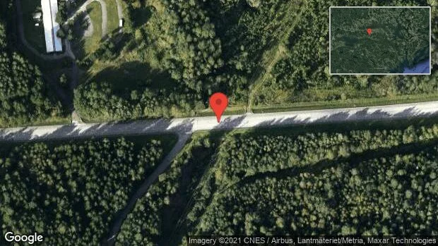 Fallna träd skapar problem i trafiken på väg 230