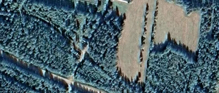 Ny ägare till tomt i Älvsbyns kommun - priset: 40 000 kronor