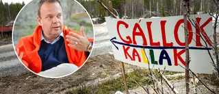Beowulf mining ser ljust på framtiden: "Synen på gruvor har förändrats"