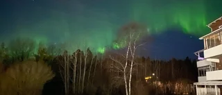 Bildextra: Se nattens sprakande norrsken över Enköping