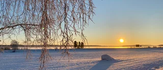 Snart blir det blåsigt igen • SMHI:s meteorolog om kvällen och natten i Vimmerbyområdet