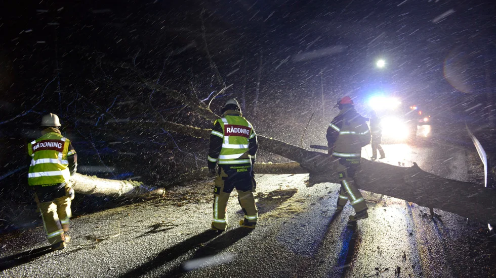 Ett av nattens många fallna träd, över väg 134 strax öster om Kisa. Och snart kommer nästa oväder. 