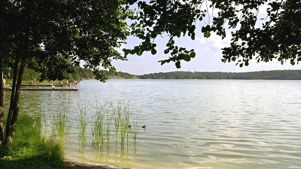 


Nu avråder kommunen från bad i Ensjön (bilden) och Lindöbadet på grund av höga halter av bakterier.



