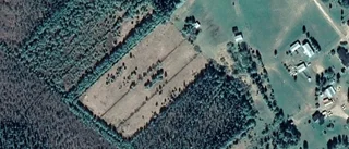 Lantbruksfastighet i Pajala kommun såld för 200 000 kronor