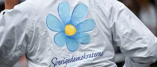 Ytterligare ett SD-avhopp?