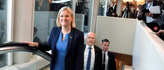 Statsvetare: "S ett patriarkalt parti"