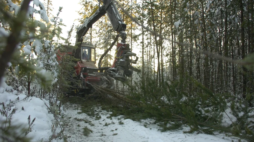 Bidrag. Skogsägare längs vattenreglerade sjöar och älvar har möjligheten att söka ett bidrag få är medvetna om. Foto: Arkivbild: Lars Eriksson.