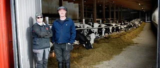 Bönder pressas av skenande kostnader – oro för mjölkproduktionen: "Det är väldigt märkbart"