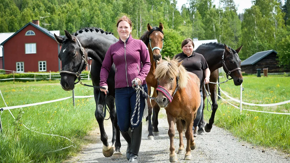 Petra leder Olle till vänster och döttrarnas shettis Nellie mot hagen. Tillsammans med Carro går Unghästen Wilnius och Totte.