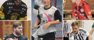 Het kandidat till säsongens mål • Vilken succécomeback • Matchhjältarna som vände trender