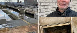 TV • Ryter ifrån om gotlänningarnas toavanor • ”En gång fick jag plocka ur en hel arbetsoverall”