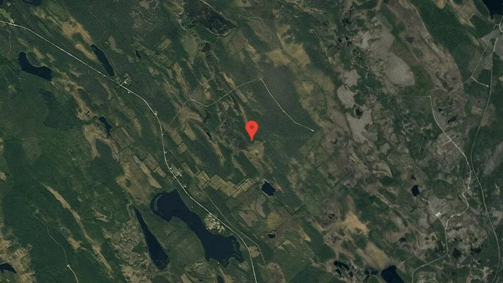 Nya ägare till skog i Jörn