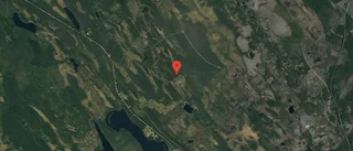 Nya ägare till skog i Jörn