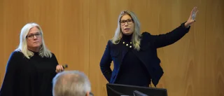Katharina gav goda exportråd