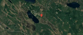 Ny ägare till skog i Malå i oktober