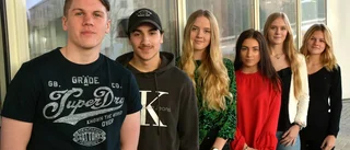 Ledamöter för en dag