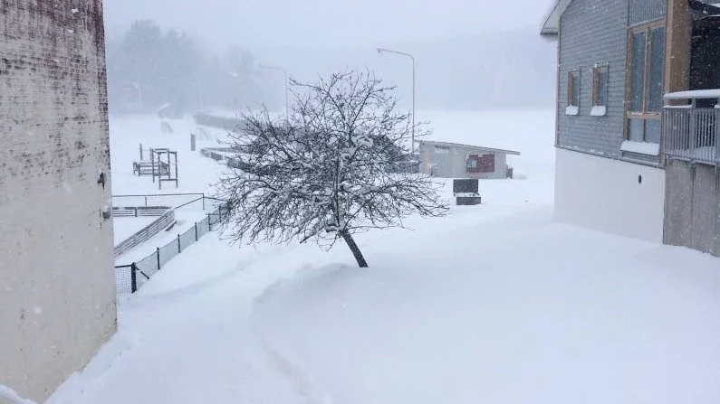 Vitt. Utsikten från Sankt Anna skola.