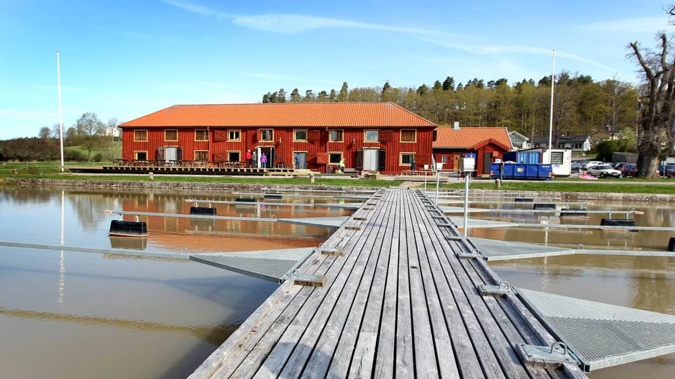 Musikkväll. Kanalmagasinet anordnar pubkvällar varje lördag i juli.