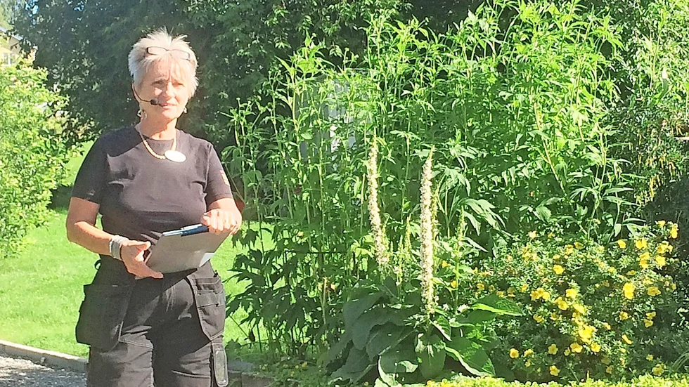 I Frälsarkransträdgården i Kusmark berättade Lill Lundgren om tillkomsten av trädgården och av betydelsen av blommornas färger.